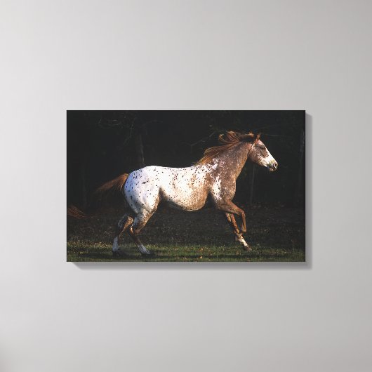 Toile Appaloosa Horse Running 4 (Recto)
