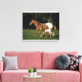 Toile Appaloosa Mare Et Foie (Insitu(Salon))