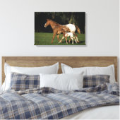 Toile Appaloosa Mare Et Foie (Insitu(Chambre))