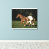 Toile Appaloosa Mare Et Foie (Insitu (Plancher de Bois))