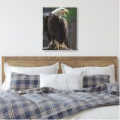 Toile Appel de l'aigle à tête blanche (Insitu(Chambre))
