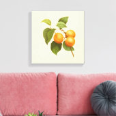 Toile Apricots orange vintage (Insitu(Salon))