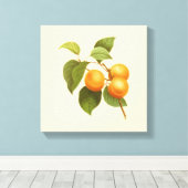 Toile Apricots orange vintage (Insitu (Plancher de Bois))