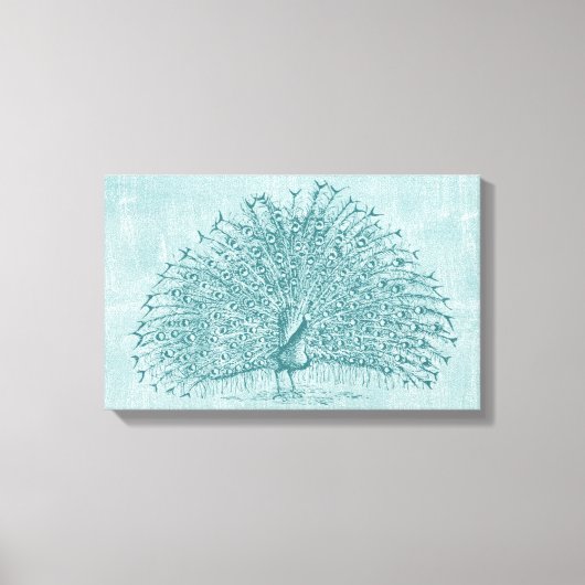 Toile Aqua Peacock (Recto)