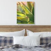 Toile Aquarelle Agave attenuata par Debra Lee Baldwin (Insitu(Chambre))