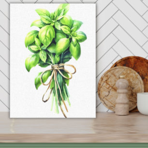 Toile Aquarelle Basil Lumineuse Herbe fraîche Art pour c