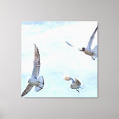Toile Aquarelle de trois mouettes (Recto)