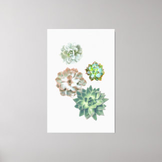 Toile Aquarelle Plante Succulente peinture murale