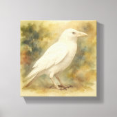 Toile Aquarelle White Raven (Recto)