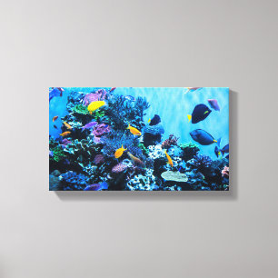 Toile Aquarium