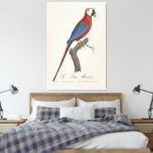Toile Ara chloroptère (Insitu(Chambre))