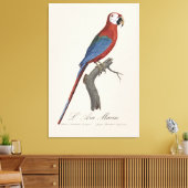 Toile Ara chloroptère (Insitu(Salon))