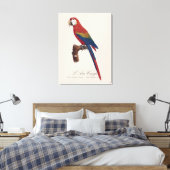 Toile Ara rouge ou Ara macao, Ara macao (Insitu(Chambre))
