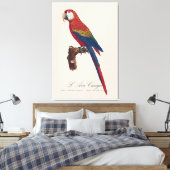 Toile Ara rouge ou Ara macao, Ara macao (Insitu(Chambre))