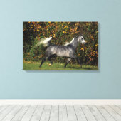 Toile Arabes en course : Automne (Insitu (Plancher de Bois))