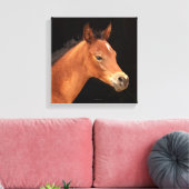 Toile Arabian Filly (Insitu(Salon))