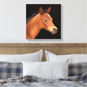 Toile Arabian Filly (Insitu(Chambre))