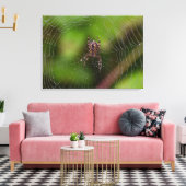 Toile Araignée (Insitu(Salon))