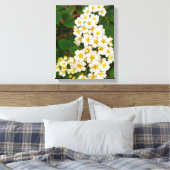 Toile Araignée à feuille d'or (Insitu(Chambre))