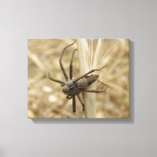 Toile araignée rampante en impression sur toile