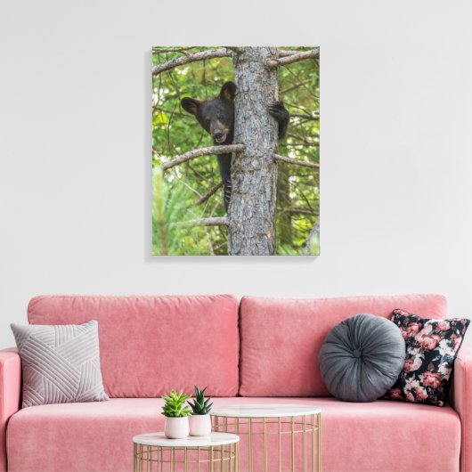 Toile Arborescence d'Escalades d'ours Cub (Insitu(Salon))