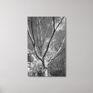 Toile Arborescence Sun Worship