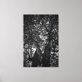 Toile Arbre (Recto)