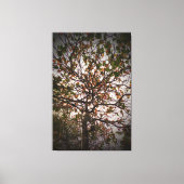 Toile Arbre (Recto)