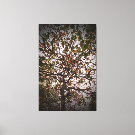Toile Arbre (Recto)