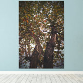 Toile Arbre (Insitu (Plancher de Bois))