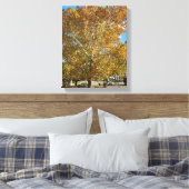 Toile Arbre à l'heure dorée (Insitu(Chambre))