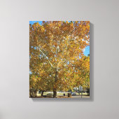 Toile Arbre à l'heure dorée (Recto)