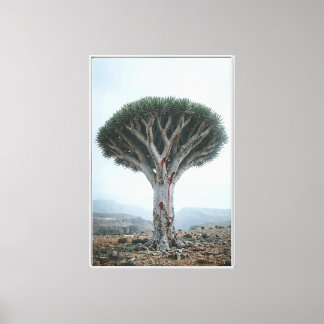 Toile Arbre à Sang de Dragon Nature Mystique Surréalist