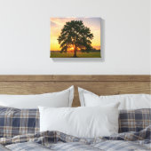 Toile arbre au coucher du soleil (Insitu(Chambre))
