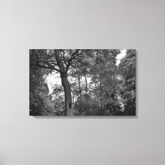 Toile Arbre avec un mystérieux trou II (Recto)