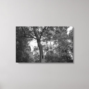 Toile Arbre avec un trou mystérieux