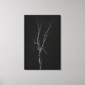 Toile Arbre blanc solitaire (Recto)