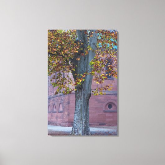 Toile Arbre dans le parc de la Cathédrale | Allemagne (Recto)