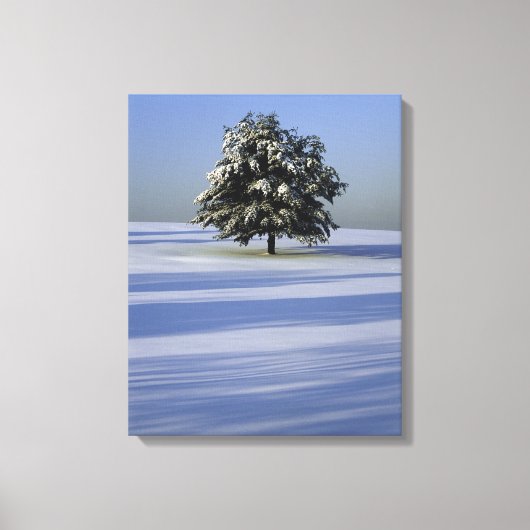 Toile Arbre dans le paysage couvert de neige (Recto)