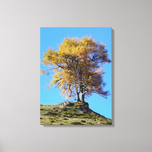 Toile Arbre d'automne (Recto)