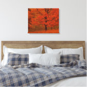 Toile Arbre d'automne avec feuillage rouge (Insitu(Chambre))