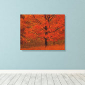 Toile Arbre d'automne avec feuillage rouge (Insitu (Plancher de Bois))