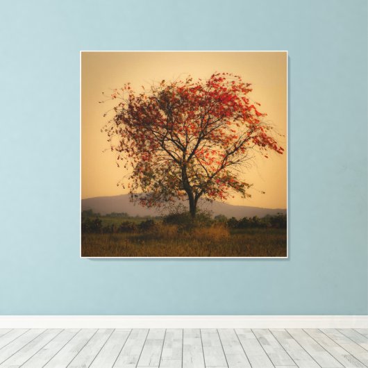 Toile Arbre d'automne solitaire à Dusk (Insitu (Plancher de Bois))