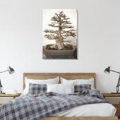 Toile Arbre de bonsaï (Insitu(Chambre))