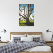 Toile Arbre de chêne vivant au sud (Insitu(Chambre))