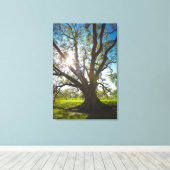 Toile Arbre de chêne vivant au sud (Insitu (Plancher de Bois))