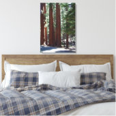 Toile Arbre de Redwood Forest Sequoia Arbre Mur Art (Insitu(Chambre))