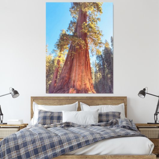 Toile Arbre de séquoia géant (Insitu(Chambre))