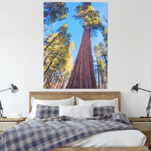 Toile Arbre de séquoia géant (Insitu(Chambre))