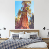 Toile Arbre géant séquoia (Insitu(Chambre))
